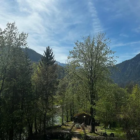 Apartment Haus Am Wald -fewo *