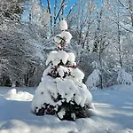 Apartman Haus Am Wald -fewo